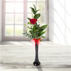 Stunning Single Stemmed Rose
