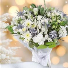 Dashing Through the Snow