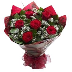 Gorgeous Sumptuous Numbers