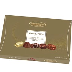 Chocolate Pralines